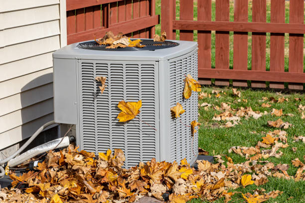 Best Thermostats and Smart Controls in East Dundee, IL